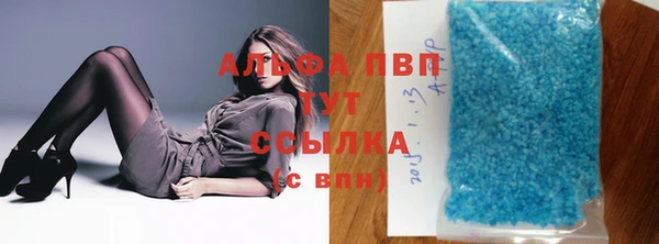 эйфоретик Аркадак