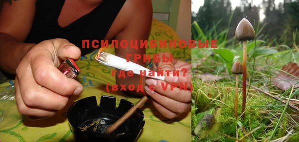 метадон Рославль