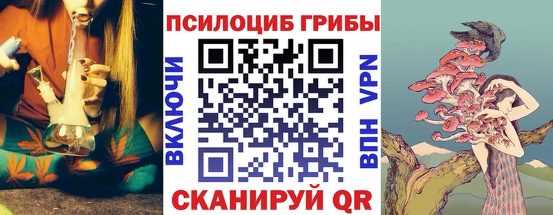 закладки  Лесозаводск  Галлюциногенные грибы Psilocybe 
