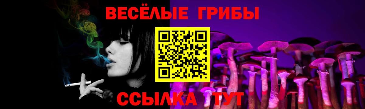 Псилоцибиновые грибы GOLDEN TEACHER  Галлюциногенные грибы MAGIC MUSHROOMS  Лесозаводск  Вход с VPN 